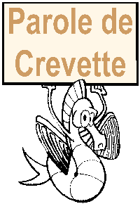 Crevette stylisée Briefing
