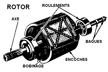Structure du rotor
